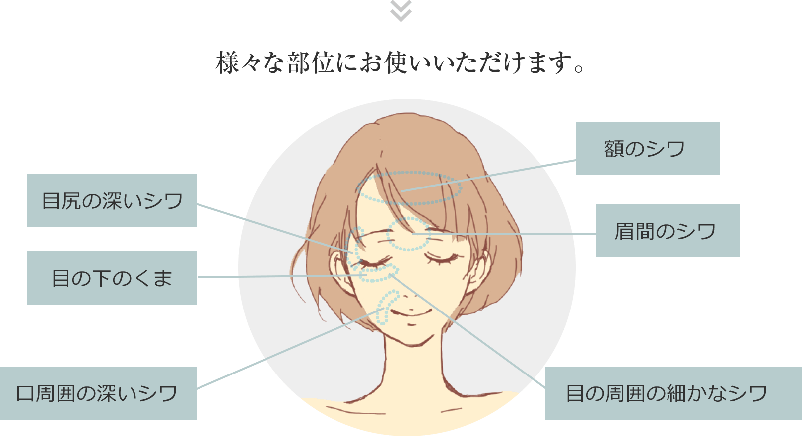 様々な部位にお使いいただけます