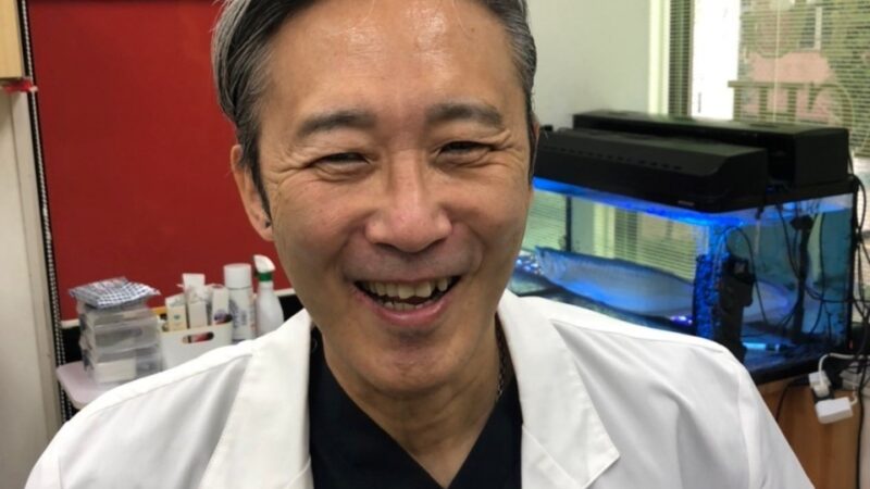 親知らずって、必ず抜かなきゃいけないの?